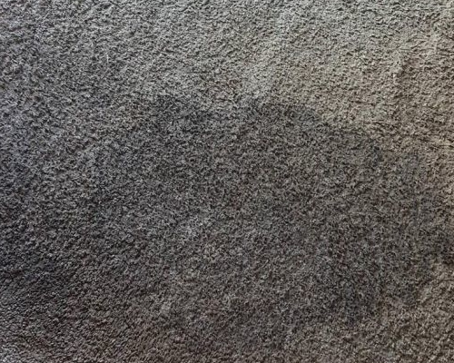 S deep carpet restoration