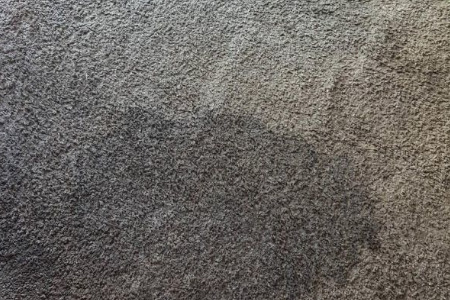 Deep carpet restoration